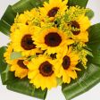 Regalami il mio fiore preferito🌻